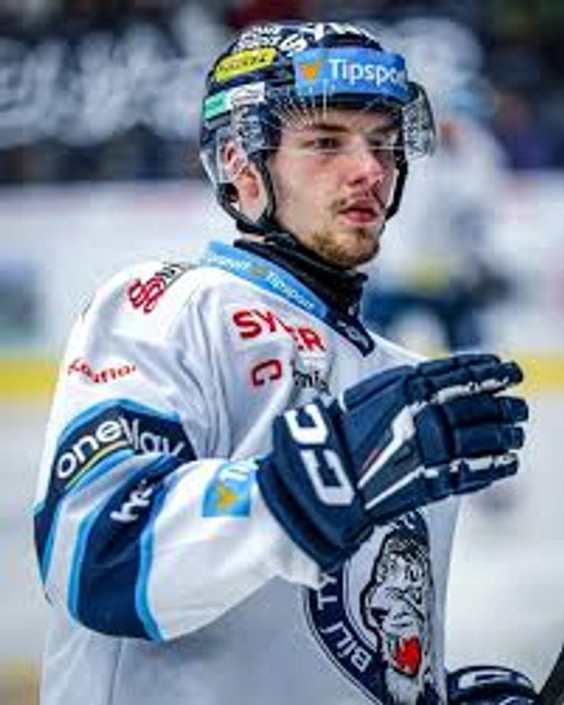 Radim Handl